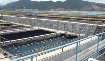 【廣東省江門市寶發紡織服飾有限公司】 