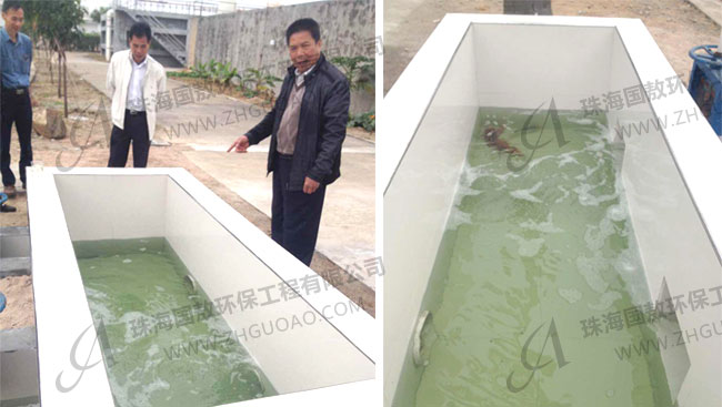 印染廢水處理后養魚