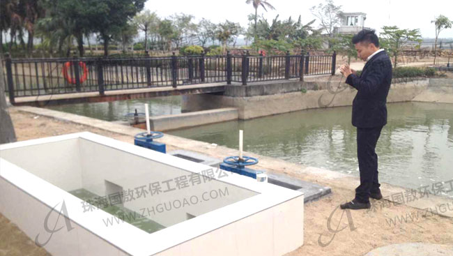 紡織污水處理廠養魚